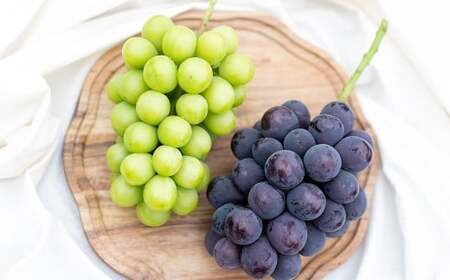 [2回定期便] ピオーネ or オーロラブラック 3〜5房 (2kg以上) & シャインマスカット 3〜5房 (2kg以上) [2026年7月下旬から順次発送予定] / くだもの 果物 果実 フルーツ ぶどう ブドウ 葡萄 マスカット 冷蔵 岡山県 美咲町