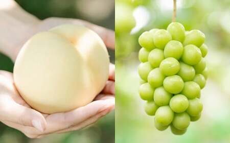 �y2�����ցz ���R���� �i������or������ܖ������j 5�`8�� �i2kg�ȏ�j �� �V���C���}�X�J�b�g 3�`5�[ �i2kg�ȏ�j �y2026�N7�����{���珇�������\��z �^ �������� �ʕ� �ʎ� �t���[�c �� ��