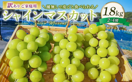 訳あり シャインマスカット 2〜4房 計約1.8kg ご家庭用 [2026年10月上旬から12月下旬頃迄発送予定]/ マスカット 葡萄 ブドウ 種無し 種なし