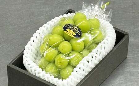 ご家庭用 シャインマスカット 晴王 約400g×1房 [2026年8月下旬〜11月下旬迄発送] / マスカット 葡萄 ぶどう 果物 果実 フルーツ 種なし 皮ごと 大粒 家庭用 岡山県 美咲町 冷蔵