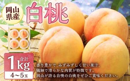 岡山 白桃 4〜5玉 (合計1.0kg以上) [2026年7月上旬〜8月上旬 発送予定] 白桃 桃 もも モモ 果物 くだもの フルーツ お取り寄せ 贈り物 ギフト 国産