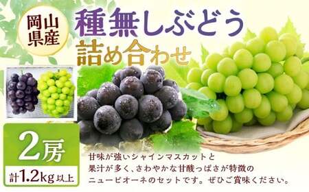 種無しぶどう 詰合せ 2房(合計1.2kg以上) [2026年9月上旬〜10月上旬 発送予定] シャイン マスカット ぶどう 葡萄 ブドウ 果物 くだもの フルーツ 詰め合わせ セット ギフト お取り寄せ 国産