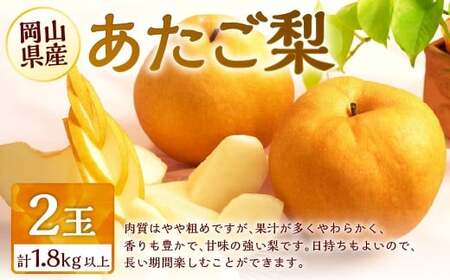 梨 2026年 先行予約 あたご梨 2玉 合計1.8kg以上 環山堂 岡山県産 なし 果物 フルーツ [2026年11月下旬〜12月下旬 発送予定] ナシ くだもの ギフト お取り寄せ 国産