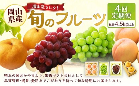 [4回定期便] フルーツ 2026年 先行予約 4回お届け便! 環山堂セレクト 晴れの国 おかやま より 果物 を旬な時期にに分けて届け! [2026年7月上旬〜12月下旬 発送予定] 岡山県産 桃 もも 葡萄 ぶどう 梨 なし 果物 お取り寄せ 贈り物 ギフト 国産