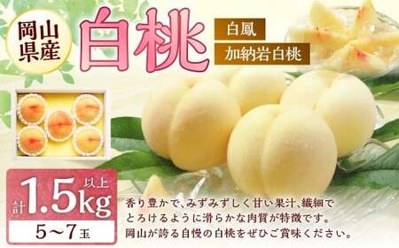 桃 2026年 先行予約 岡山 白桃 (品種:白鳳/加納岩白桃) 5〜7玉 合計1.5kg以上 [2026年7月上旬〜7月下旬 発送予定] もも モモ 岡山県産 国産 フルーツ 果物 環山堂 くだもの お取り寄せ 贈り物 ギフト 国産
