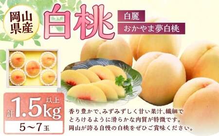 桃 2026年 先行予約 岡山 白桃 (品種:おかやま夢白桃/白麗) 5〜7玉 合計1.5kg以上 [2026年7月下旬〜8月上旬 発送予定] もも モモ 岡山県産 国産 フルーツ 果物 環山堂 くだもの お取り寄せ 贈り物 ギフト 国産