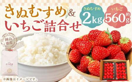 [令和7年産] 新米・精米 きぬむすめ2kg&いちご詰合せ(約280g×2パック) [2026年1月上旬から5月上旬頃発送予定]いちご お米 白米 セット 冷蔵 岡山県 美咲町