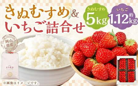 【令和7年産】 新米・精米 きぬむすめ5㎏＆いちご詰合せ（約280g×4パック） 【2026年1月上旬から5月上旬頃発送予定】いちご お米 白米 セット 冷蔵 岡山県 美咲町