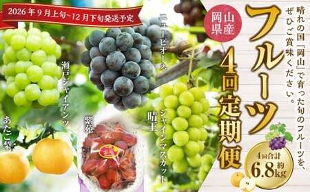 [4回定期便]岡山県産 フルーツ定期便コース (ニューピオーネ ・ シャインマスカット ・ 紫苑 ・ あたご梨) [2026年9月上旬発送開始]/ 4回 葡萄 ぶどう マスカット 晴王 梨 なし 果物 果実 フルーツ 旬 岡山県 美咲町 冷蔵 常温