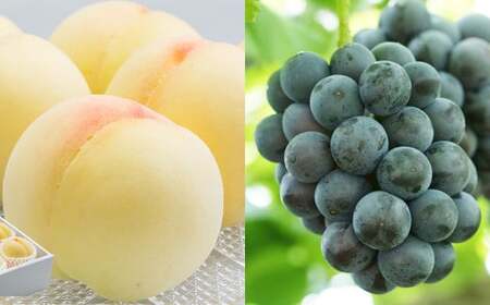 詰合 / 白桃 (1玉220g以上) 2玉 ・ ニューピオーネ (1房480g以上) 2房 化粧箱入り[2026年7月下旬〜8月上旬迄発送予定] / 桃 もも 葡萄 ぶどう 果物 果実 フルーツ 旬 詰め合わせ 詰合せ 岡山県 美咲町 冷蔵