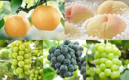 [5回定期便]岡山県産 フルーツ定期便コース (マスカットオブアレキサンドリア ・ 白桃 ・ ニューピオーネ ・ シャインマスカット 晴王 ・ あたご梨) [2026年7月上旬発送開始] / 5回 マスカット 葡萄 ぶどう 桃 もも 梨 なし 果物 果実 フルーツ 旬 岡山県 美咲町 冷蔵 常温