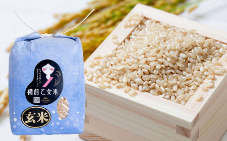 備前乙女米 玄米 2kg×1袋[2026年9月下旬迄発送予定] / お米 米 おこめ こめ コメ ご飯 ライス モチモチ 石原果樹園 岡山県 美咲町