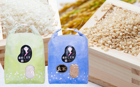 備前乙女米 白米 5kg×1袋・玄米 5kg×1袋（計約10kg）【2026年10月下旬～2027年9月下旬迄発送予定】 ／ 2種類 お米 米 おこめ こめ コメ ご飯 ライス 精米 モチモチ 石原果樹園 岡山県 美咲町