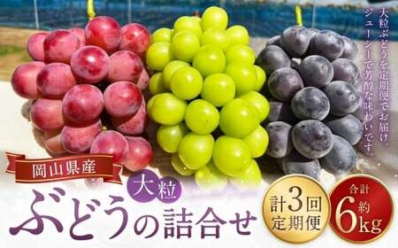 [ 3回定期便 ] 大粒ぶどうの詰合せ 約2kg×3回 計約6kg シャインマスカット マスカット ブドウ ぶどう 葡萄 果物 くだもの ピオーネ クイーンニーナ 定期便 詰合せ 大粒 [ 2026年10月上旬〜12月上旬迄発送予定 ]