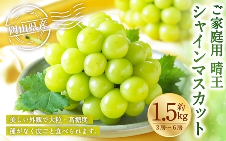 ご家庭用 岡山県産 シャインマスカット 晴王 約1.5kg ( 3房〜6房 ) ぶどう ブドウ 葡萄 マスカット 果物 くだもの フルーツ 国産 [ 2026年8月下旬〜11月下旬発送予定 ]