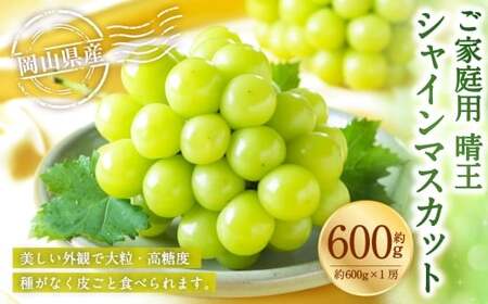 ご家庭用 岡山県産 シャインマスカット 晴王 約600g ( 600g×1房 ) ぶどう ブドウ 葡萄 マスカット 果物 くだもの フルーツ 国産 [ 2026年8月下旬〜11月下旬発送予定 ]