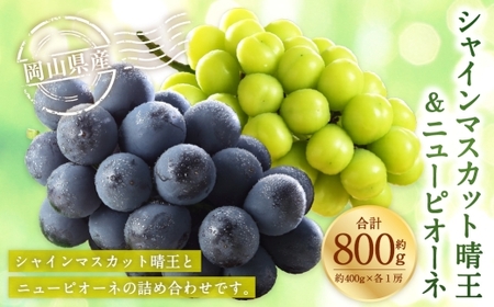 岡山県産 シャインマスカット 「 晴王 」 と ニューピオーネ Lサイズ 計約800g ぶどう ブドウ 葡萄 くだもの 果物 果実 フルーツ 国産 マスカット [ 2026年8月下旬〜9月下旬発送予定 ]