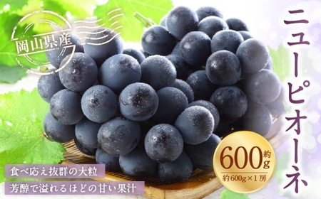 岡山県産 ニューピオーネ 約600g ( 600g×1房 ) ぶどう ブドウ 葡萄 種なし 種無し くだもの 果物 果実 フルーツ 国産 [ 2026年8月下旬〜9月下旬発送予定 ]