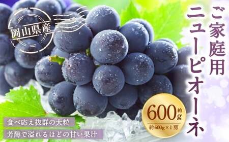 ご家庭用 岡山県産 ニューピオーネ 約600g ( 600g×1房 ) ぶどう ブドウ 葡萄 くだもの 果物 果実 フルーツ 国産 [ 2026年8月下旬〜9月下旬発送予定 ]