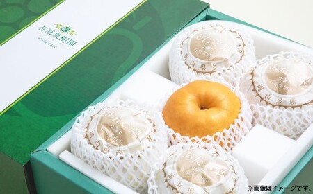 あたご梨 4〜9玉 合計約4.5kg 贈答箱 / 愛宕梨 梨 なし ナシ 果物 [2026年11月下旬〜12月下旬発送予定]