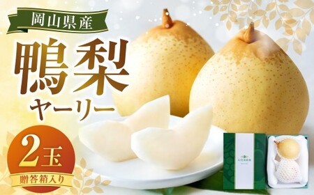 鴨梨(ヤーリー)2玉 贈答箱 梨 ナシ なし [2026年11月下旬〜12月下旬発送予定]