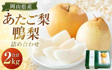 あたご梨・鴨梨(ヤーリー)詰合せ 2玉 合計約2kg 贈答箱 梨 ナシ なし 愛宕梨 あたごなし ジャンボ梨 [2026年11月下旬〜12月下旬発送予定]