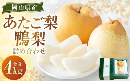 あたご梨 2〜3玉・鴨梨(ヤーリー) 3〜7玉 詰合せ 合計約4kg 化粧箱 梨 ナシ なし 愛宕梨 あたごなし ジャンボ梨 [2026年11月下旬〜12月下旬発送予定]