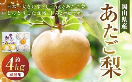 あたご梨 3〜9玉 合計約4kg ご家庭用 梨 ナシ なし 愛宕梨 あたごなし ジャンボ梨 [2026年11月下旬〜12月下旬発送予定]