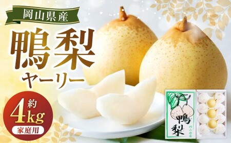 鴨梨(ヤーリー) 6〜13玉 合計約4kg ご家庭用 梨 ナシ なし [2026年11月下旬〜12月下旬発送予定]