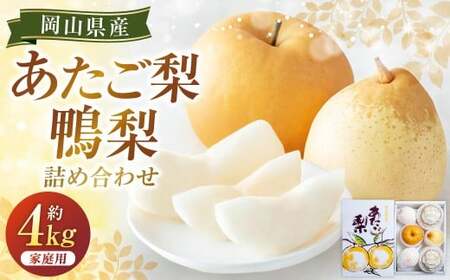あたご梨 2〜3玉・鴨梨(ヤーリー) 3〜7玉 詰合せ 合計約4kg ご家庭用 梨 ナシ なし 愛宕梨 あたごなし ジャンボ梨 [2026年11月下旬〜12月下旬発送予定]