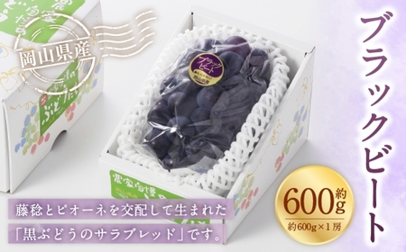 岡山県産 ブラックビート 約600g ( 約600g×1房 ) ぶどう ブドウ 葡萄 くだもの 果物 果実 フルーツ 国産 黒ぶどう [ 2026年8月上旬〜9月上旬発送予定 ]
