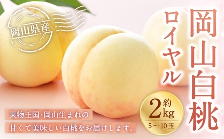 岡山白桃 ロイヤル 5〜10玉 約2kg 岡山県産 白桃 桃 もも モモ くだもの 果物 果実 フルーツ 国産 ギフト 贈り物 [ 2026年7月上旬〜8月下旬発送予定 ]