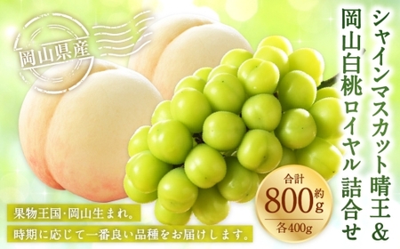 岡山県産 岡山白桃 ロイヤル Lサイズ 約200g×2玉・ シャインマスカット 晴王 約400g×1房 詰合せ 白桃 モモ もも 桃 ぶどう ブドウ 葡萄 マスカット くだもの 果物 果実 フルーツ 国産 家庭用 ギフト 贈り物 贈答 [ 2026年7月上旬〜8月下旬発送予定 ]
