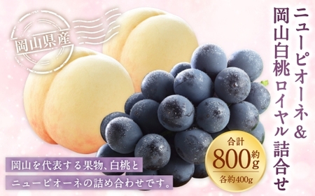 岡山県産 岡山白桃 ロイヤル Lサイズ 約200g×2玉・ ニューピオーネ 約400g×1房 詰合せ ぶどう ブドウ 葡萄 くだもの 果物 果実 フルーツ 国産 白桃 モモ もも 桃 家庭用 ギフト 贈り物 贈答 [ 2026年7月上旬〜8月下旬発送予定 ]