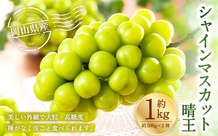 岡山県産 シャインマスカット 晴王 約1kg （ 約500g×2房 ） ぶどう ブドウ 葡萄 くだもの 果物 果実 フルーツ 国産 マスカット 【 2026年7月上旬～8月下旬発送予定 】