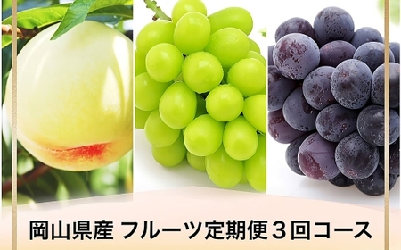[全3回定期便] 岡山県産 フルーツ定期便 [お一人様向け] [2026年7月上旬〜9月下旬迄発送予定] 白桃 ピオーネ シャインマスカット 瀬戸内 果物 くだもの フルーツ ぶどう もも ブドウ モモ 葡萄 桃 岡山白桃 ニューピオーネ 晴王 化粧箱 贈り物 贈答用 ギフト プレゼント 定期 果実 定期配送