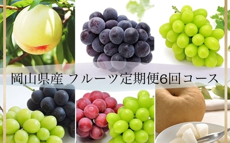 [全6回定期便] 岡山県産 フルーツ定期便 [お一人様向け] [2026年7月上旬〜12月下旬迄発送予定] 白桃 ピオーネ シャインマスカット あたご梨 瀬戸内 果物 くだもの 果実 フルーツ ぶどう もも ブドウ モモ 葡萄 桃 岡山白桃 ニューピオーネ 晴王 食べ比べ 瀬戸ジャイアンツ 桃太郎ぶどう 紫苑 クインニーナ なし ナシ 梨 化粧箱 贈り物 ギフト プレゼント 定期 
