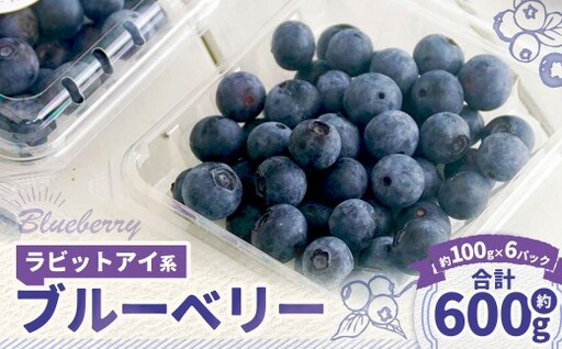 ラビットアイ系 ブルーベリー 約100g × 6パック 合計約600g くだもの 果物 フルーツ 果実 果汁 果肉 新鮮 国産 岡山県産 旬 ジャム プレゼント ギフト 贈り物 贈答品 贈答 [ 2026年7月上旬〜8月上旬発送予定 ]