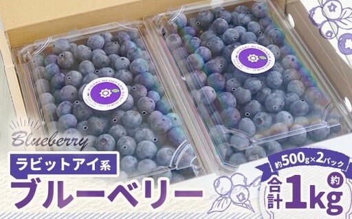 ラビットアイ系 ブルーベリー 約500g × 2パック 合計約1kg くだもの 果物 フルーツ 果実 果汁 果肉 新鮮 国産 岡山県産 旬 ジャム プレゼント ギフト 贈り物 贈答品 贈答 [ 2026年7月上旬〜8月上旬発送予定 ]