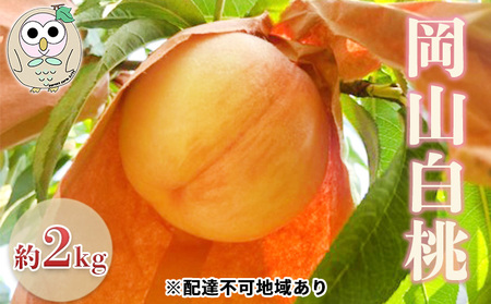 桃 岡山の白桃 約2kg 5〜7玉 もも フルーツ 果物 岡山 美咲町産