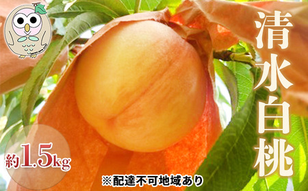 桃 白桃 清水白桃 約1.5kg 4〜6玉 もも フルーツ 果物 岡山 美咲町産