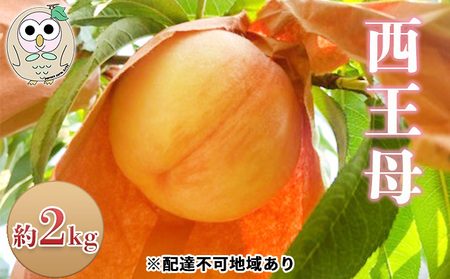 桃 白桃 西王母 約2kg 5〜7玉 もも フルーツ 果物 岡山 美咲町産