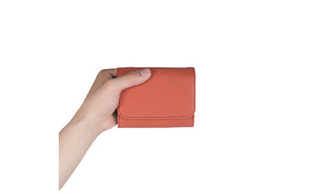 ＼年内発送／はちのす カードケース/ ブラウン M069