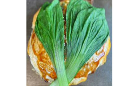 広島迷彩（名菜）焼き（そば）　1枚　