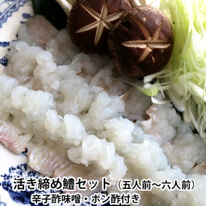 [先行予約]活き締め鱧(はも)セット(五人前〜六人前)辛子酢味噌・ポン酢付き 湯引き 鱧しゃぶ