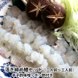[先行予約]活き締め鱧(はも)セット(二人前〜三人前)辛子酢味噌・ポン酢付き 湯引き 鱧しゃぶ