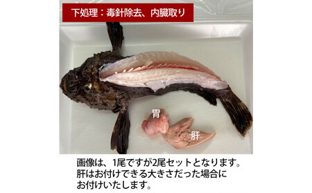 �y�����A�w���̓Őj�����z�y��s�\��z�������߃I�R�[2���Z�b�g�i2�l�O�j�|���|�t�� �Ջ� ������ ������ ���g��