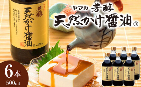 �y�M�t�g�p�z�F���V�R�����ݖ�500ml×6�{