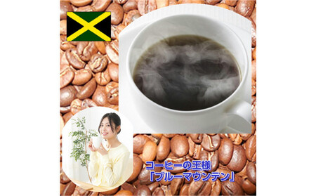 コーヒーの王様「ブルーマウンテン」(200g)[粗挽き]