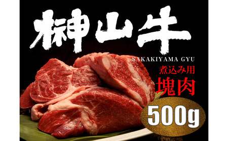 [訳アリ] 超希少黒毛和牛「榊山牛」煮込み用ブロック肉 500g ビーフシチュー・ビーフカレー・赤ワイン煮等 美食 訳ありグルメ